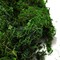 Fake Moss for Centerpieces Decor, Aftificial Green Moss for Plant Crafts Flower, 3.5oz